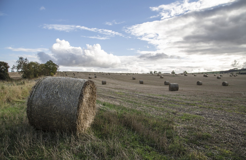 Farming farmers grants Wiltshire