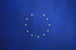 EU flag minus one star