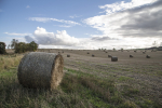 Farming farmers grants Wiltshire